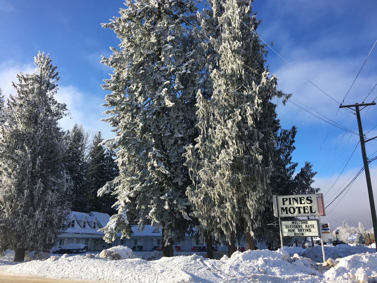 Pines Motel Sicamous Eksteriør billede